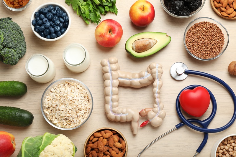 A layout of the intestine on a tabletop with superfoods like blueberries and spinach. A stethoscope and heart are nearby, representing gut health.